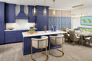 Pelican Landing Interior Design Gallery